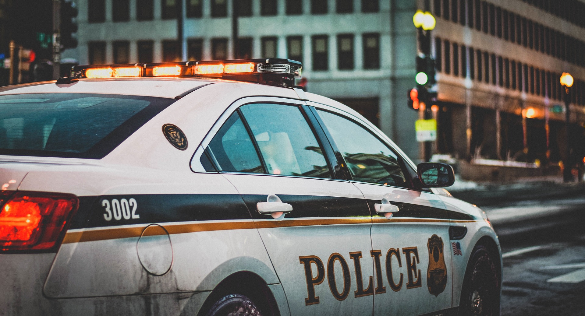 driving criminal records